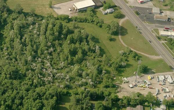 Auto Theatre - Live Search2 (newer photo)